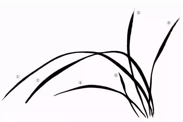 国画兰花绘画图,简单国画兰花画法教程