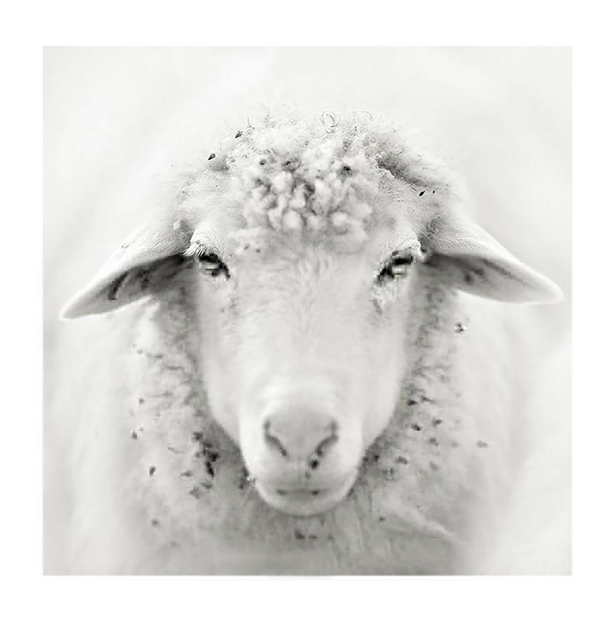 *翻推**潜移默化的议论纷纷：小个子驾驭不了大衣？