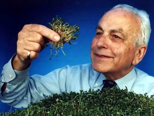 西兰花种子固体饮料的作用,西兰花种子水提取物功效