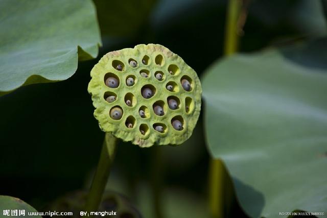 舌尖上的美食儿时的味道找了好久,有一种美食叫做童年回忆
