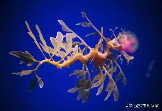 南昌地铁线2号线沿途游玩攻略,南昌四号地铁线游玩攻略