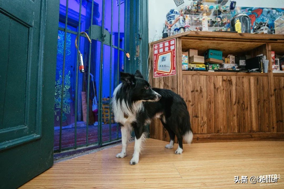 潮玩店和玩具店,逛完玩具店