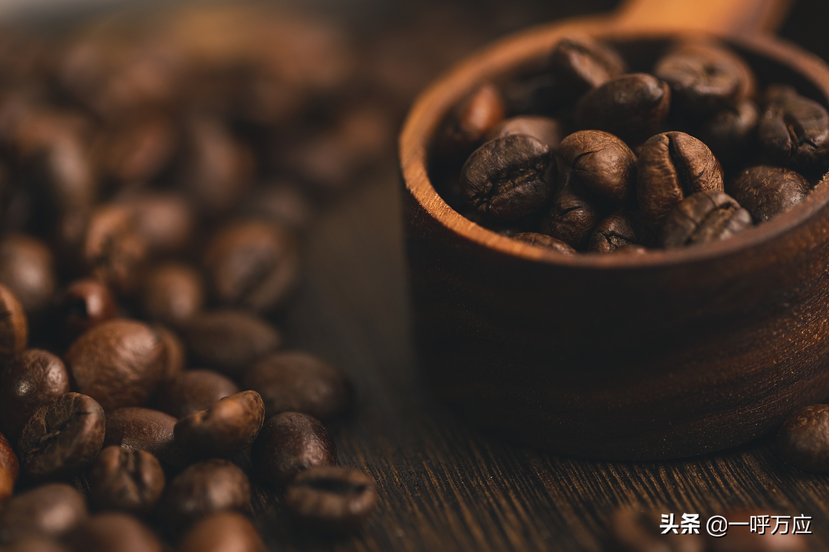 校园咖啡屋创业项目计划书,创新创业项目计划书咖啡屋