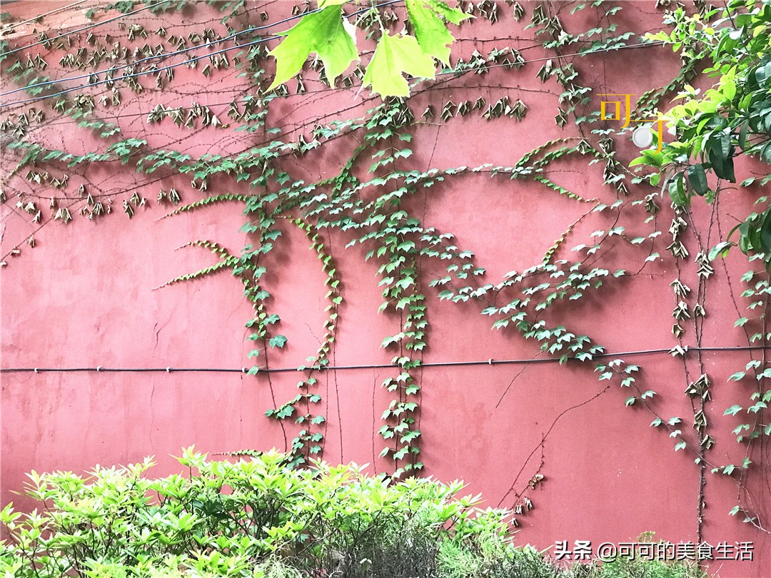 南通老字号四宜糕团,南通四宜糕团价格表