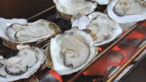 宜春方言搞笑剧,宜春方言搞笑电视配音