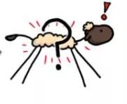 被洗缩水的羊毛衫还有救么,100%绵羊毛羊毛衫怎么清洗防缩水