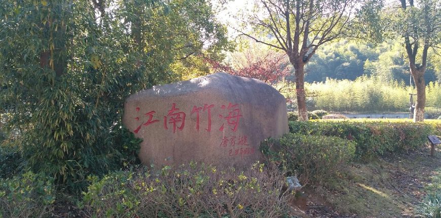 风景秀丽的宜兴竹海,漫步竹林呼吸大自然的清新