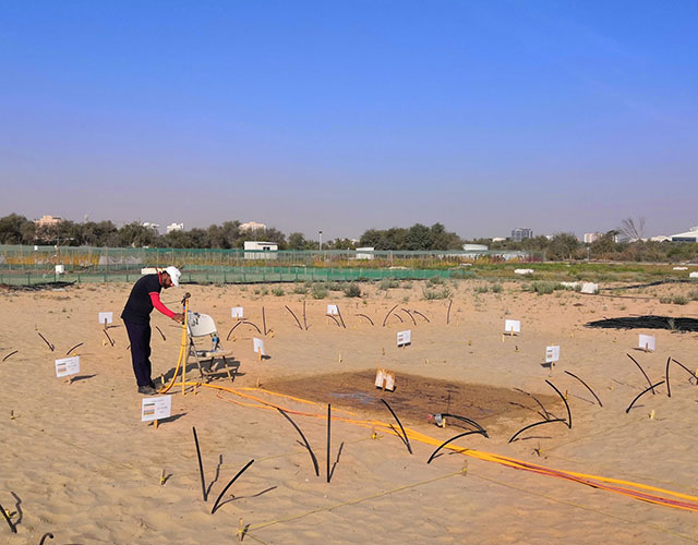 什么胶水能把沙漠变成农田,神奇的胶水能使沙漠变良田