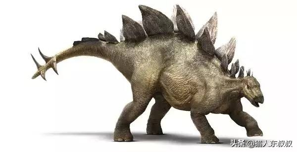 世界上十大恐龙排名英文解说,最厉害的恐龙十大排名