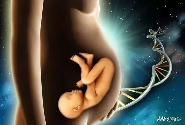 刚怀孕拍了胸片孩子能要吗,体检拍胸片后多久能怀孕