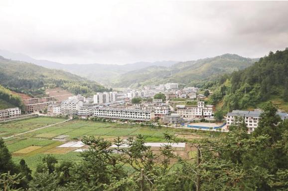 风展红旗如画三明|宁化治平：畲乡竹海，闯出致富路