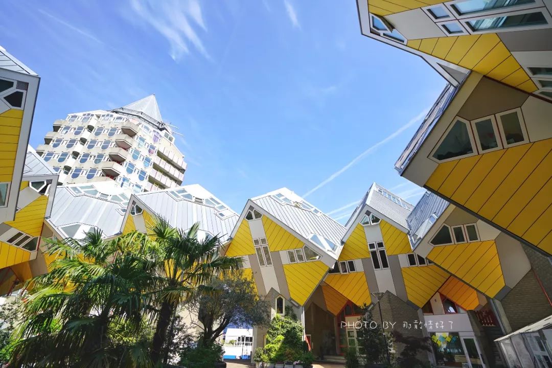 鹿特丹大厦侧面视角,鹿特丹奇异建筑