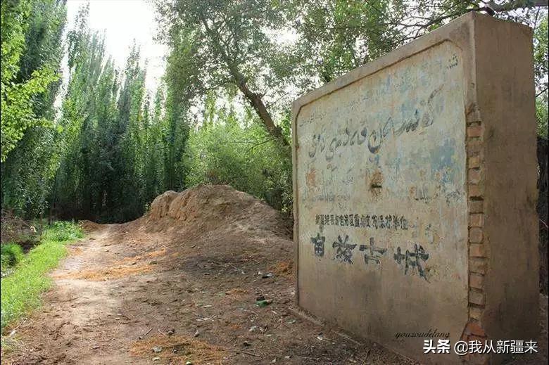 独家*疆新**真题，能拿满分算你劳道