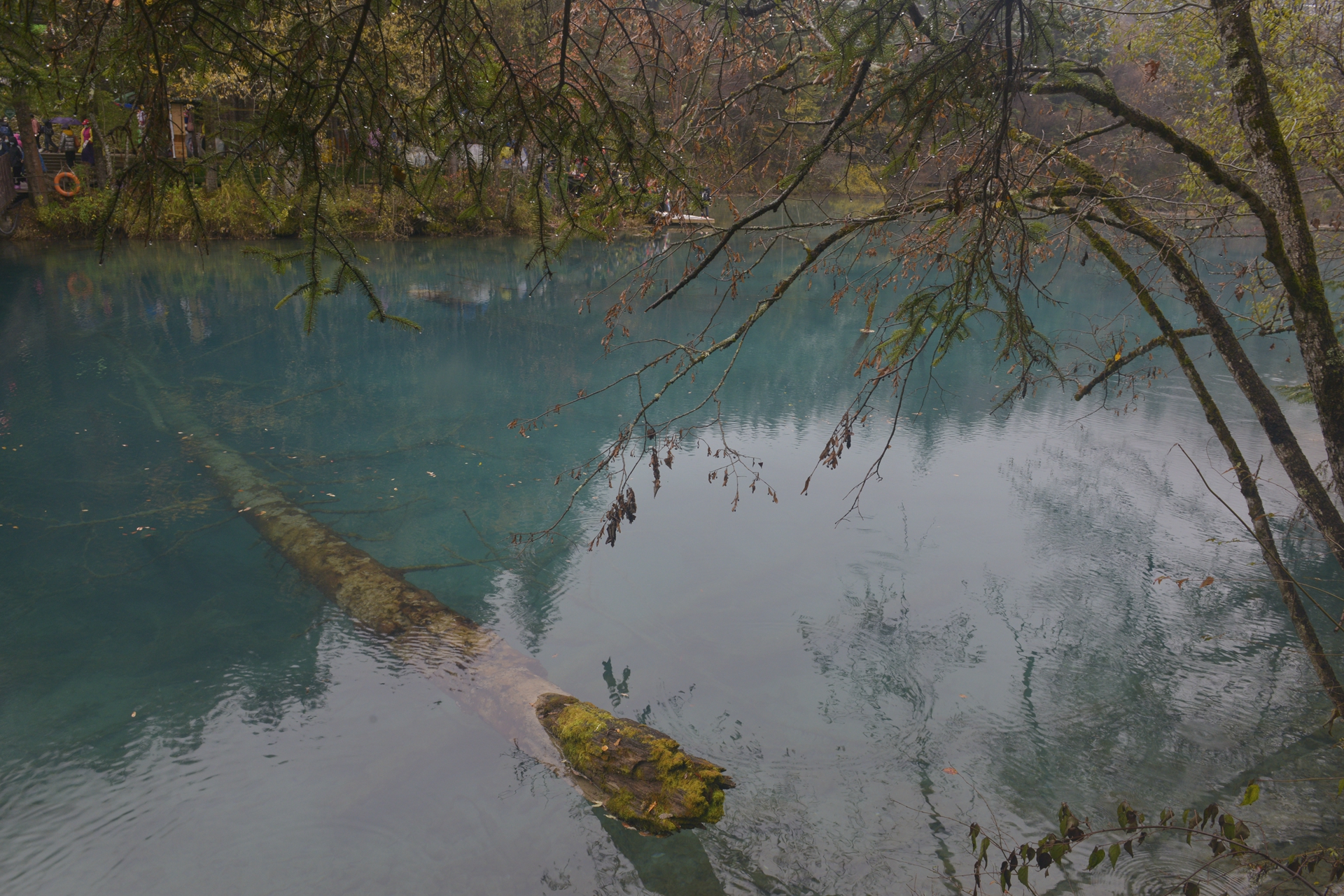 九寨沟梦幻天堂,自驾畅游九寨沟童话世界