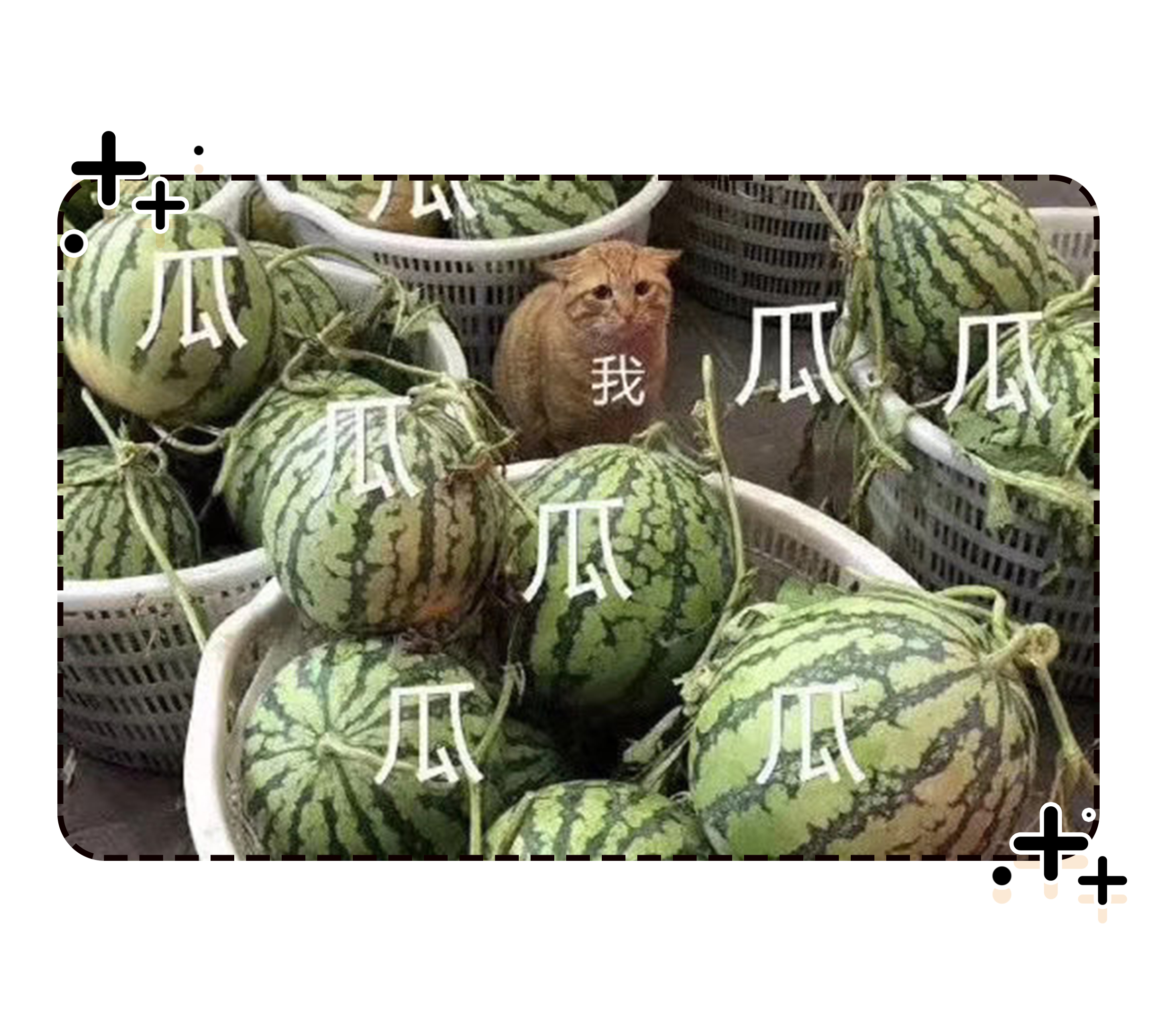 真正的黑眼圈漫画,黑眼圈的十大真相