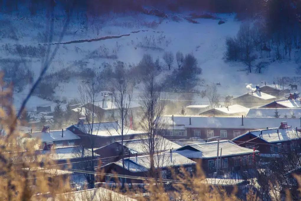 冬季视觉治愈系列！治好你的“冬天不想出门症”~