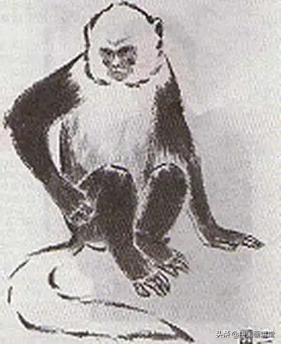 国画猴子入门教学,国画猴子简单的画法