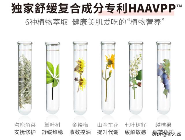 好用的洗护单品,公认最好用的洗护