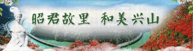 松子榛子,榛子东北榛子