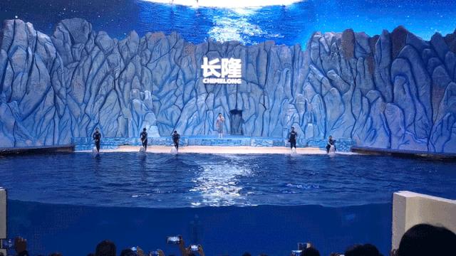 一天珠海长隆最全游玩攻略,最新的珠海长隆游玩攻略