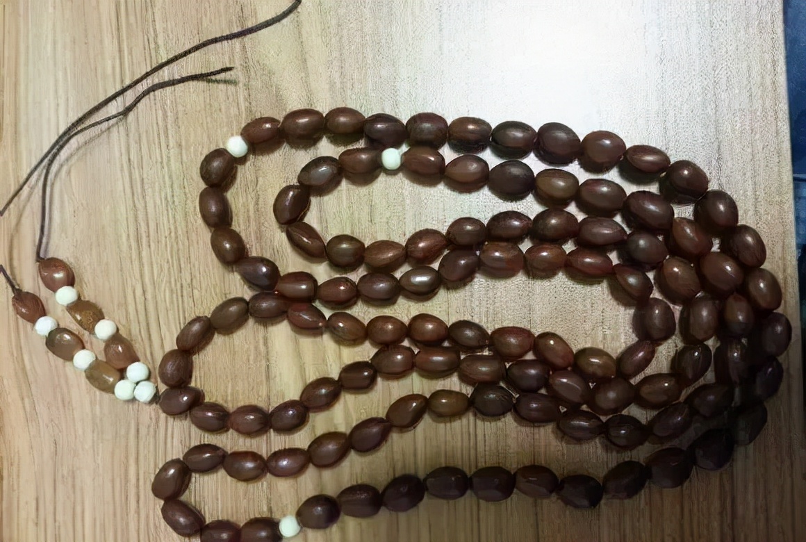 冷门菩提图片大全,比较少见的菩提