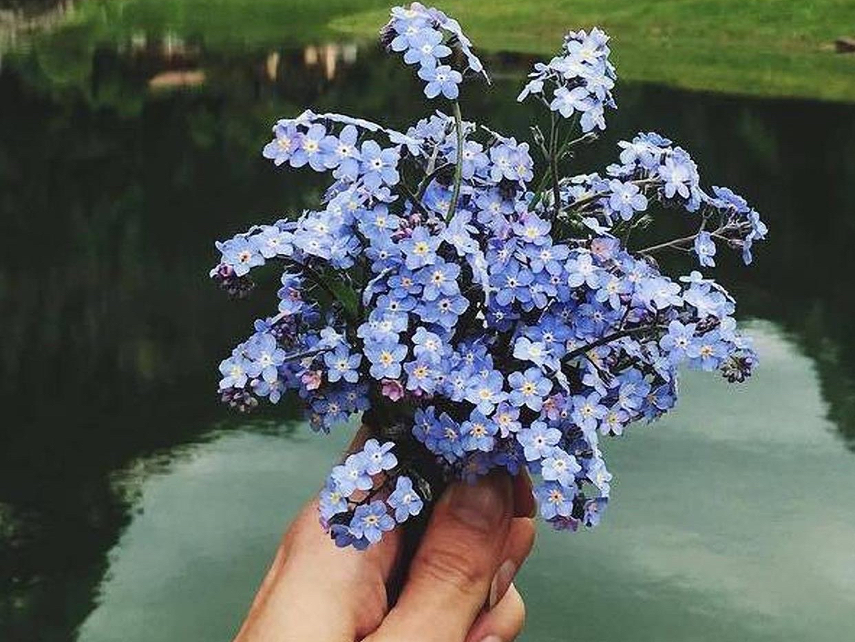 爱你的人会投其所好,表达一个人爱你爱到竭尽所能