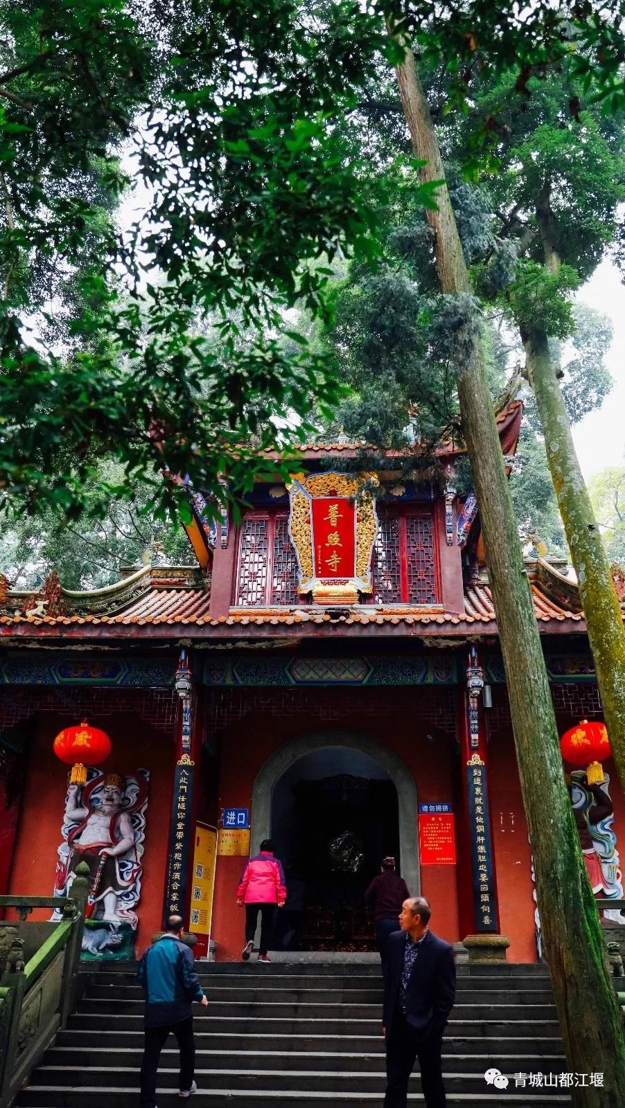 青城山熊猫谷都江堰一日游攻略,熊猫谷青城山都江堰一日游攻略