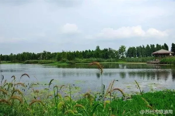 苏州真是一个回忆满满的地方,回忆满满的古镇