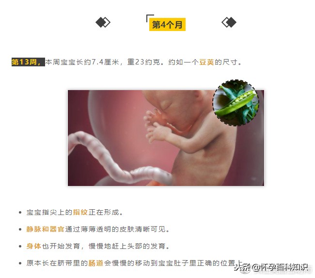 怀孕各个时期胎儿发育过程,怀孕的过程要几天