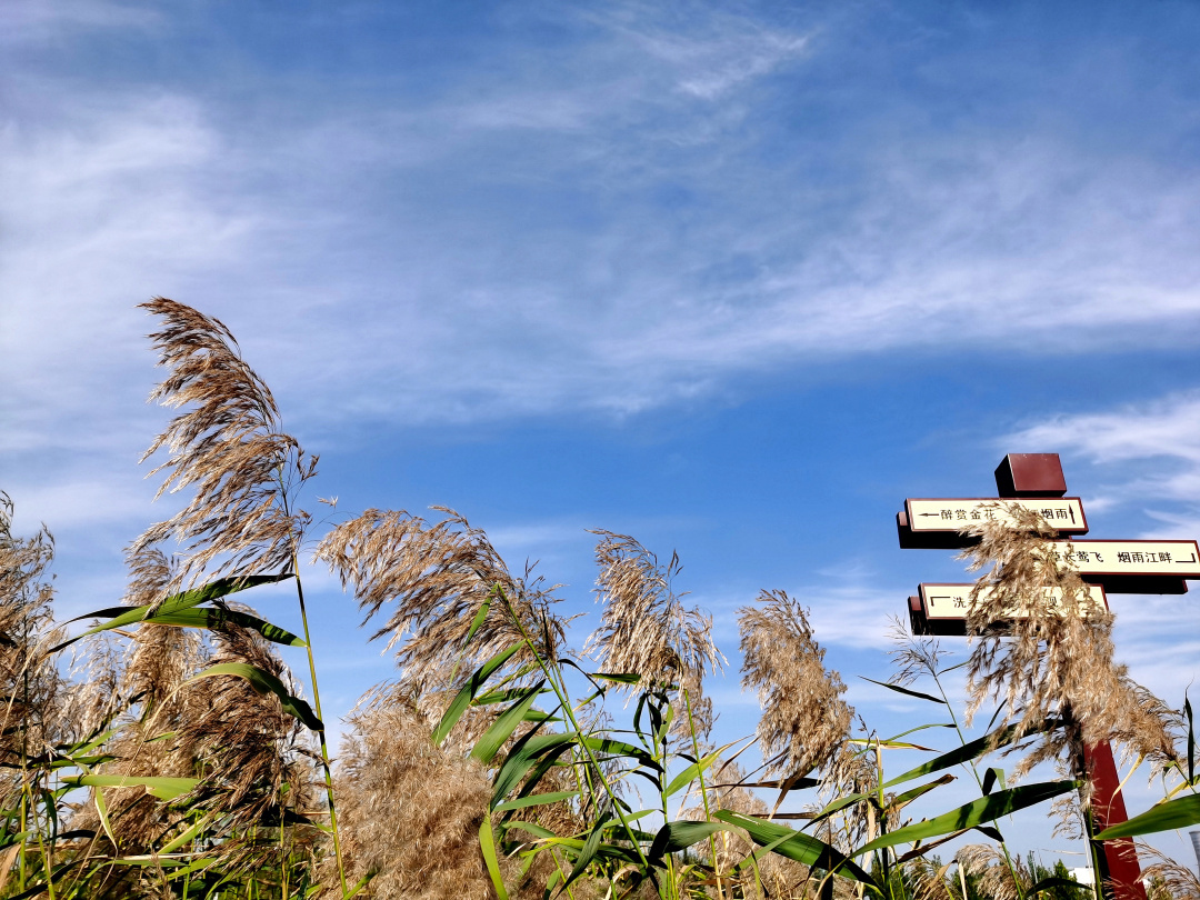荆山旅游景点大全,荆山美景