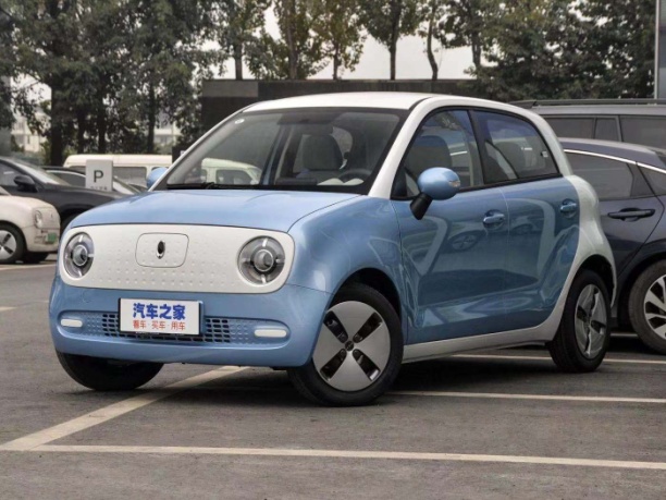 薛定谔的猫实测,欧拉白猫小野猫试驾