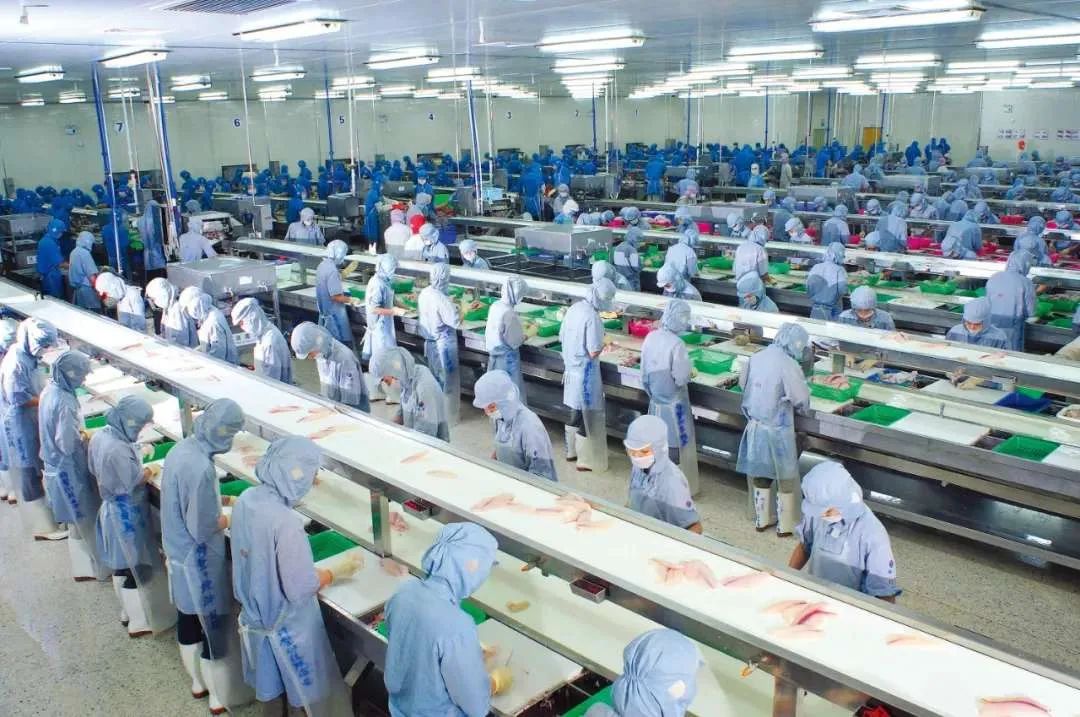 仅靠“两条鱼”，这位潮商白手起家缔造出二十亿年产值的渔业王国
