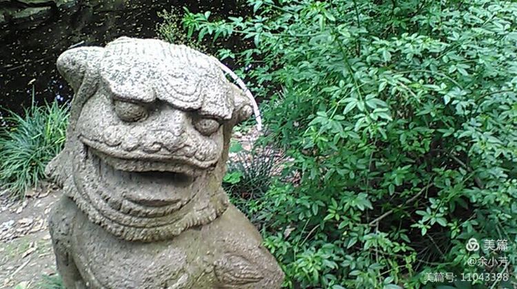 上海中山公园介绍,上海中山公园