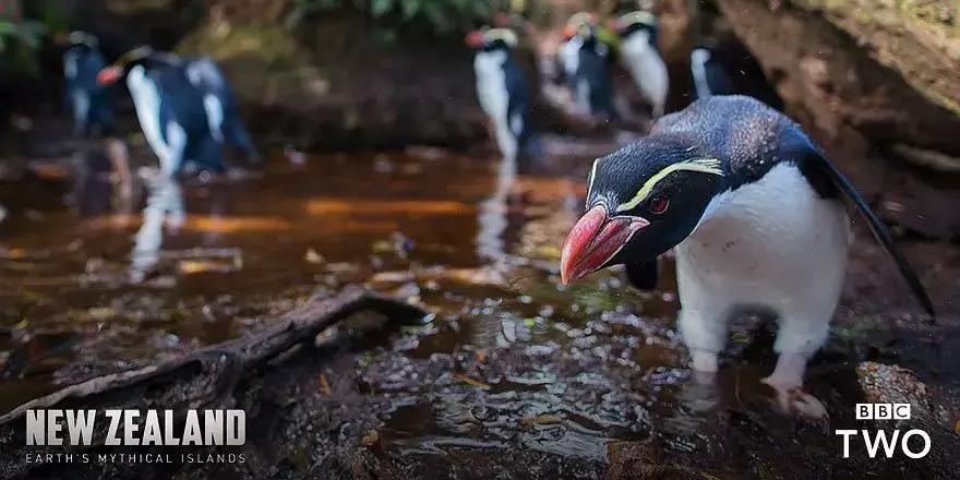 必看纪录片推荐建议收藏,推荐10部必看纪录片