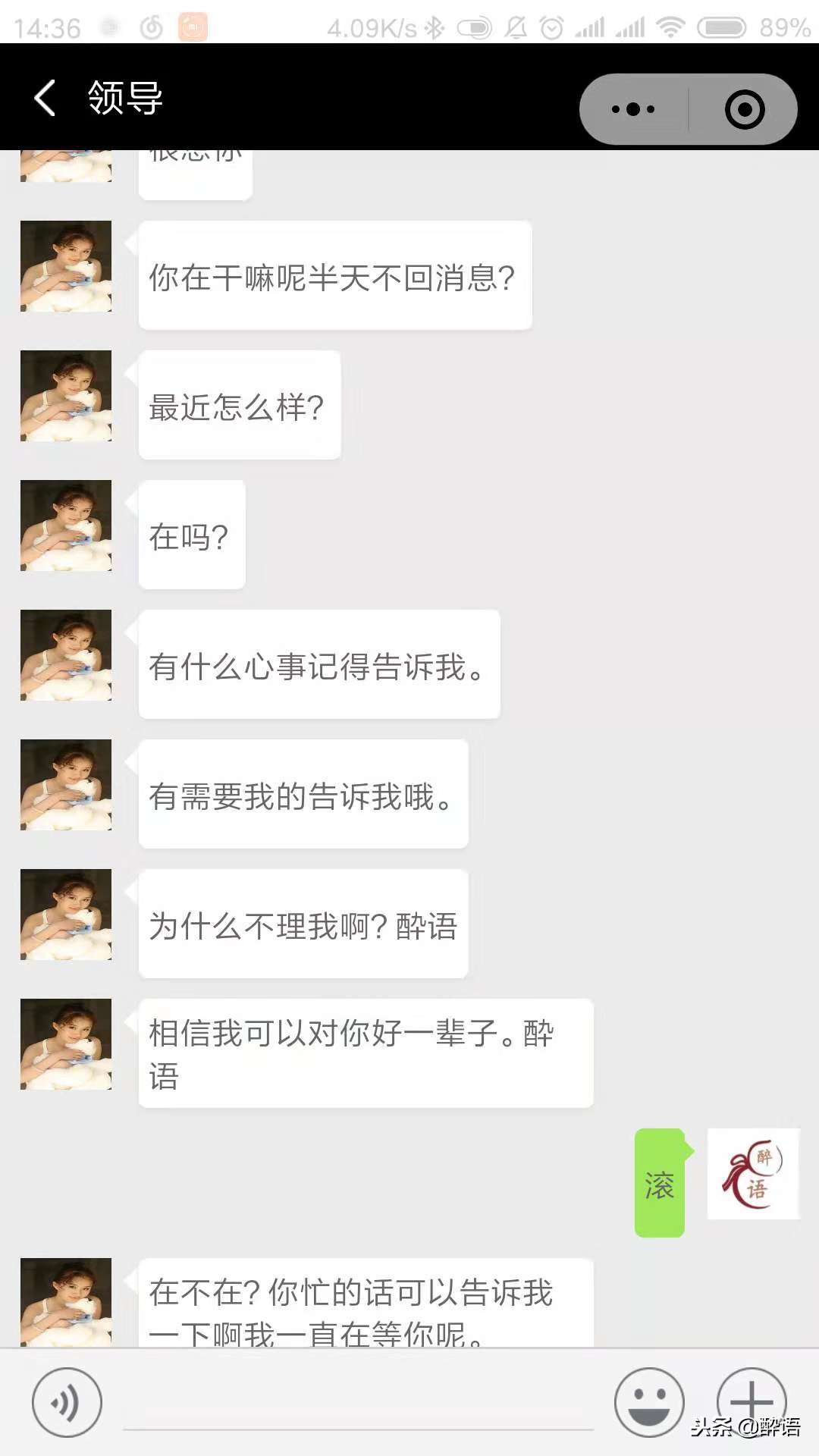 微信小程序舔狗,好玩实用的沙雕小程序推荐