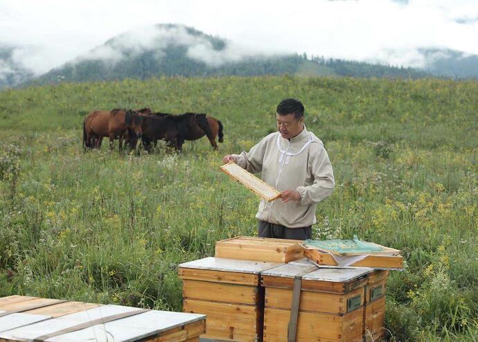 蜂蜜的各种颜色的区别,冰箱蜂蜜出现不同的颜色