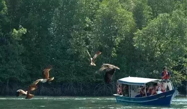 马来西亚吉隆坡和兰卡威哪个好玩,马来西亚云顶兰卡威值得去的景点