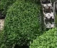 为啥德国拥有2000多个世界名牌,为什么德国有那么多500强