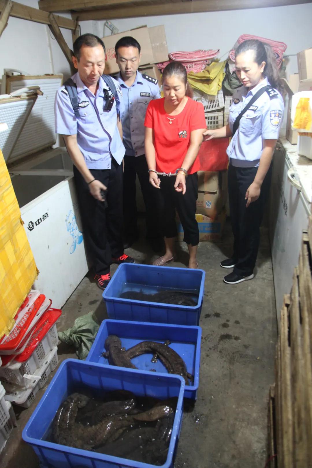 公安查处非法经营野生动物案,监利非法经营野生动物案