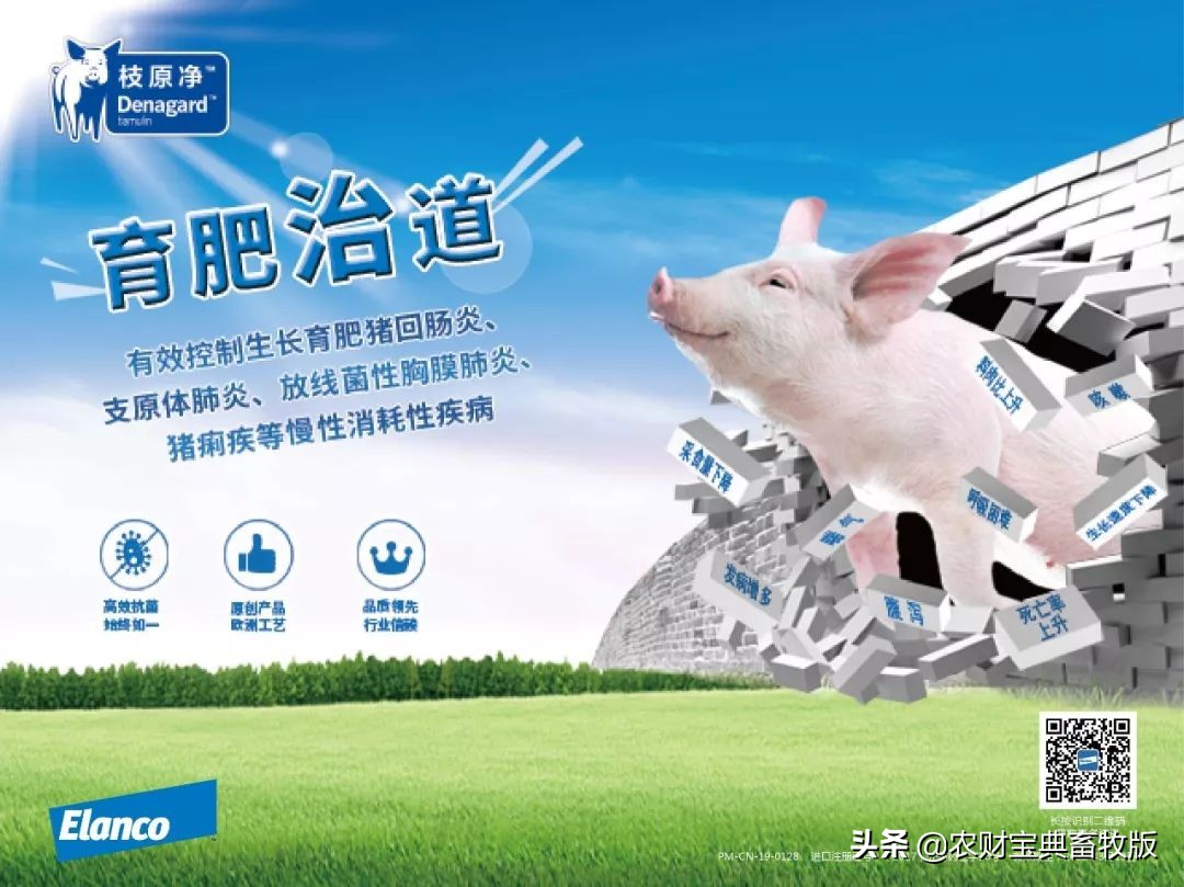 一头猪利润1000,一头肥猪能赚多少钱