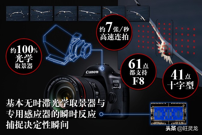 佳能5D3和5D4对比测评,2021年佳能5d3有必要升级成5d4吗