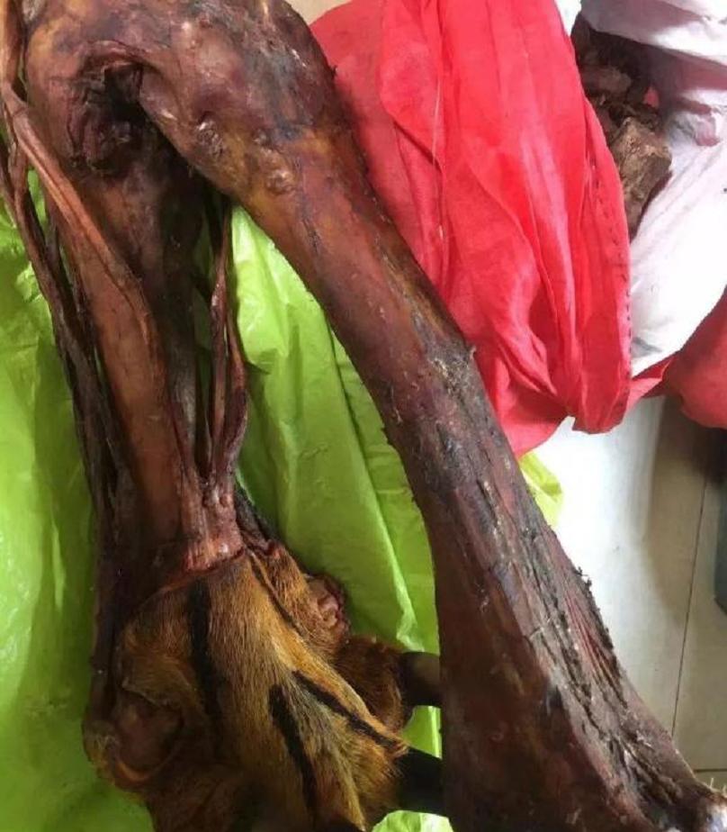 虎骨作假工艺,假虎骨揭秘