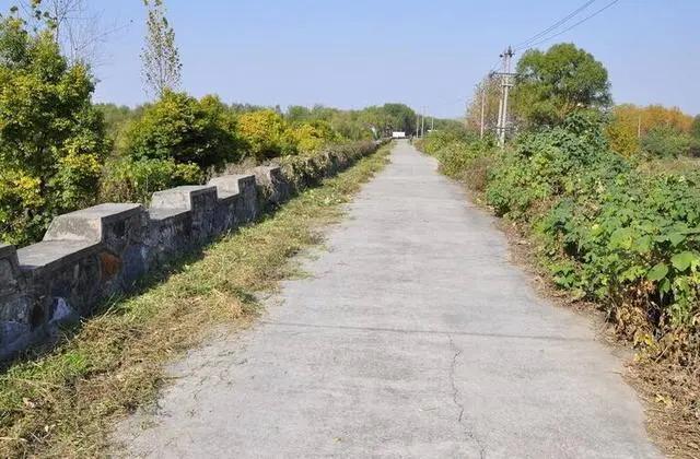 富二代丈夫想毒死妻子领高额保险金，妻子却偷偷将受益人改成他人