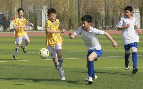 法库足球,法库县足球