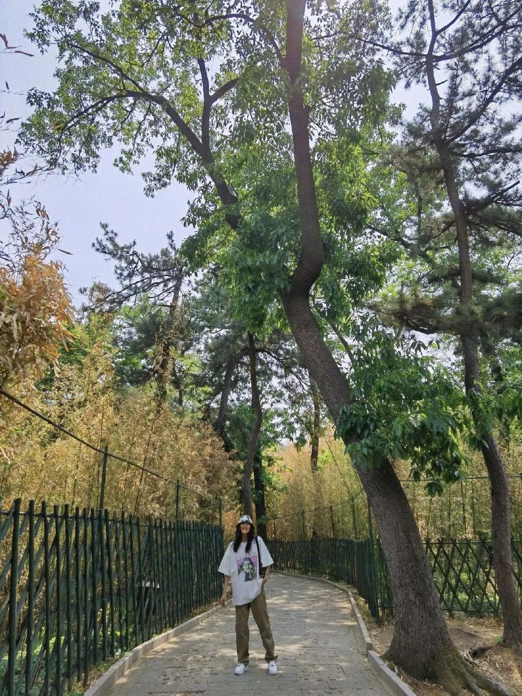 又好看又百搭的小白鞋,那些超好看的又百搭的小白鞋