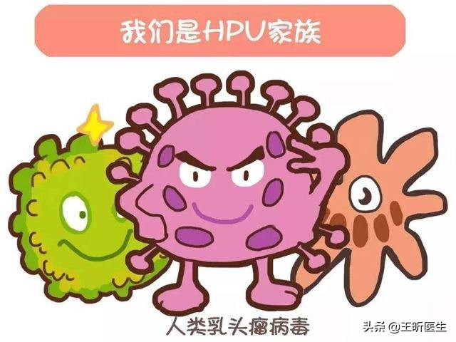 人乳头瘤病毒hpv和甲状腺有关系吗,人乳头瘤病毒hpv45阳性是宫颈癌吗