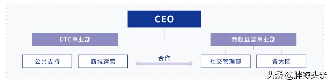 相宜本草验证,相宜本草重返18岁