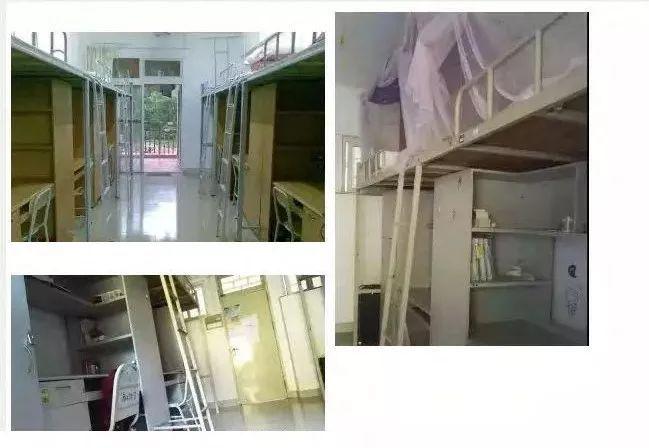 广东省排名前十的高职院,广东深职学院最低排名