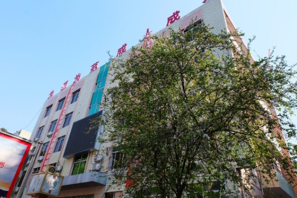 巴中市第四中学西华山春游,春游高一