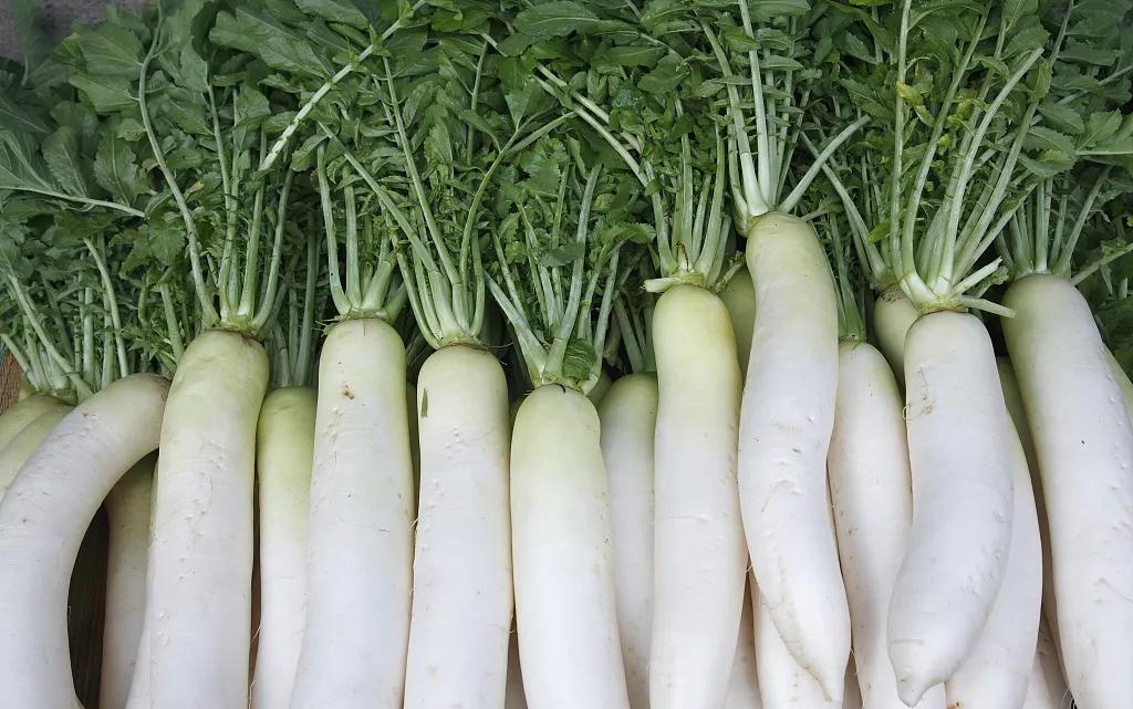 好好吃饭|蔬菜天然擅“通利”，是古人的“排浊”神器